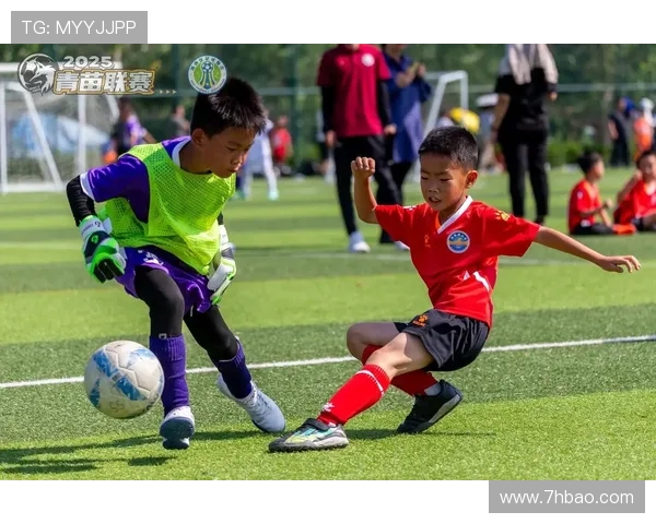 刘丽独家解析足球技巧与战术分享助你提升球场表现